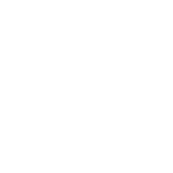 Speelgoedveilig*